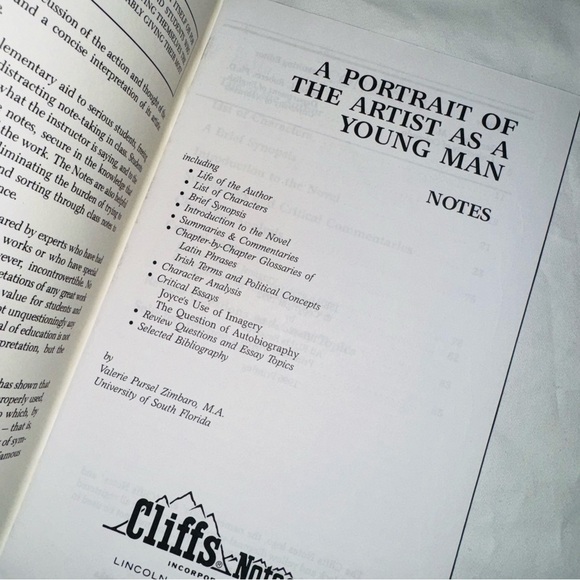 Cliffs Notes Set Of Three Books Hawthorne & Joyce / The Scarlet Letter & More - Picture 5 of 7